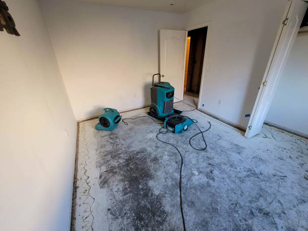 Best Water damage restoration near me  in Sparks, TX