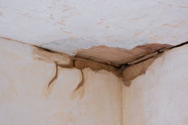Best Local water damage restoration  in Sparks, TX