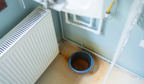 Best Mold removal after water damage  in Sparks, TX